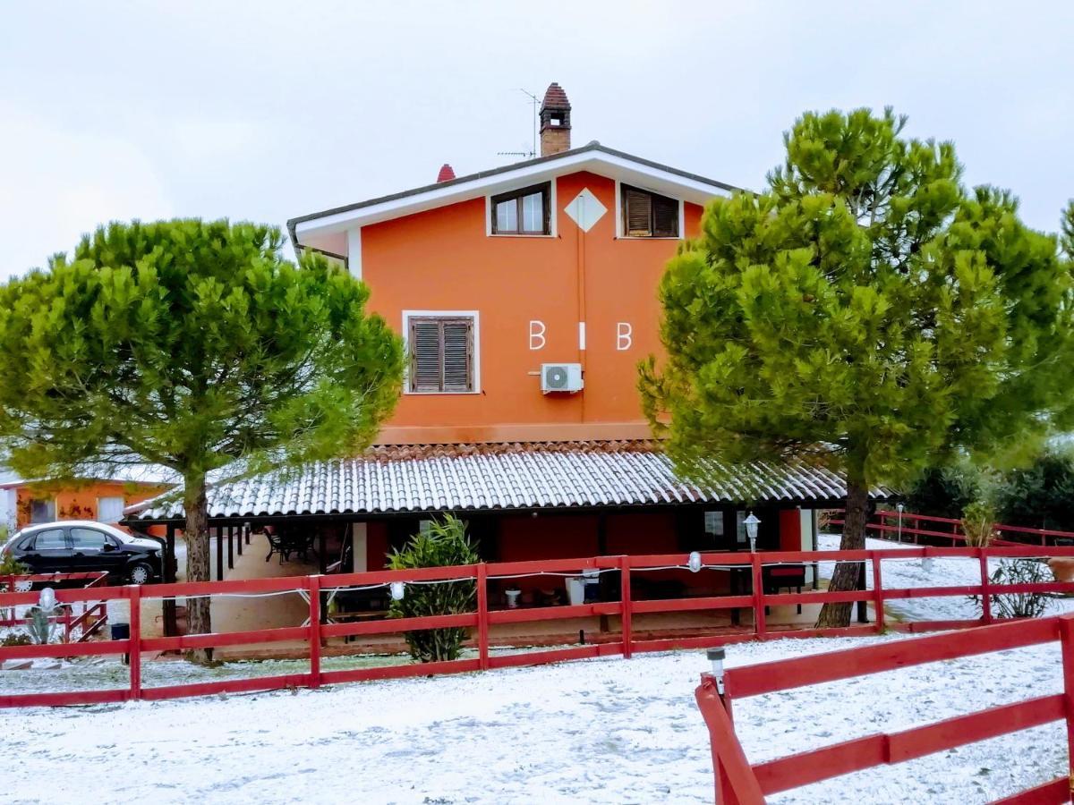 B&B Gli Amici Del Tubarello Roseto Degli Abruzzi Exterior foto