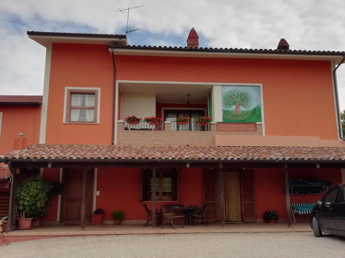 B&B Gli Amici Del Tubarello Roseto Degli Abruzzi Exterior foto