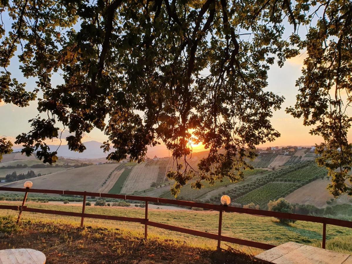 B&B Gli Amici Del Tubarello Roseto Degli Abruzzi Exterior foto