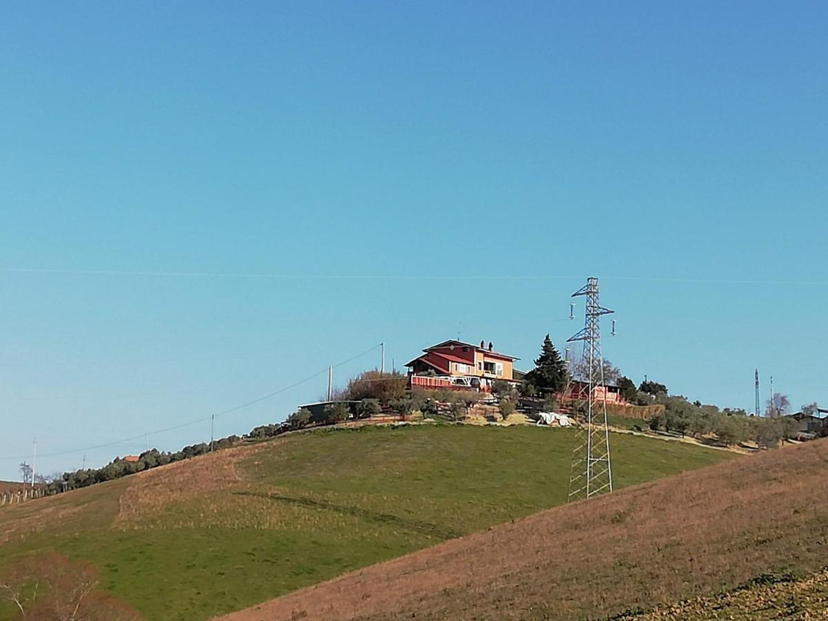 B&B Gli Amici Del Tubarello Roseto Degli Abruzzi Exterior foto