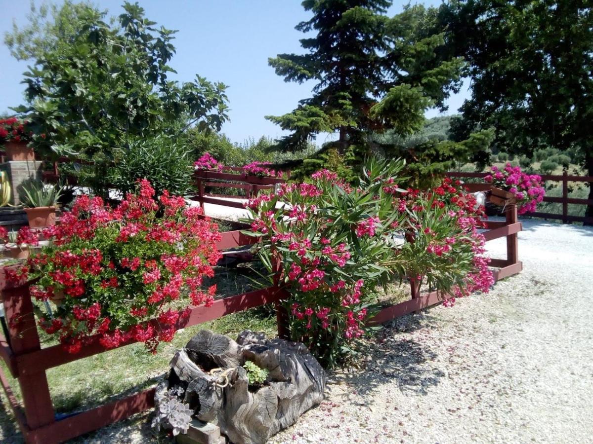 B&B Gli Amici Del Tubarello Roseto Degli Abruzzi Exterior foto