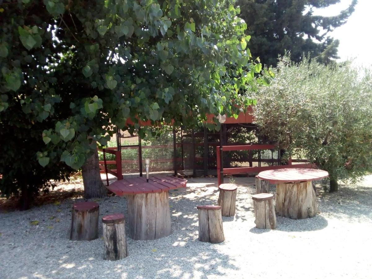 B&B Gli Amici Del Tubarello Roseto Degli Abruzzi Exterior foto