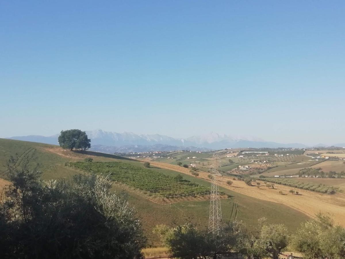 B&B Gli Amici Del Tubarello Roseto Degli Abruzzi Exterior foto