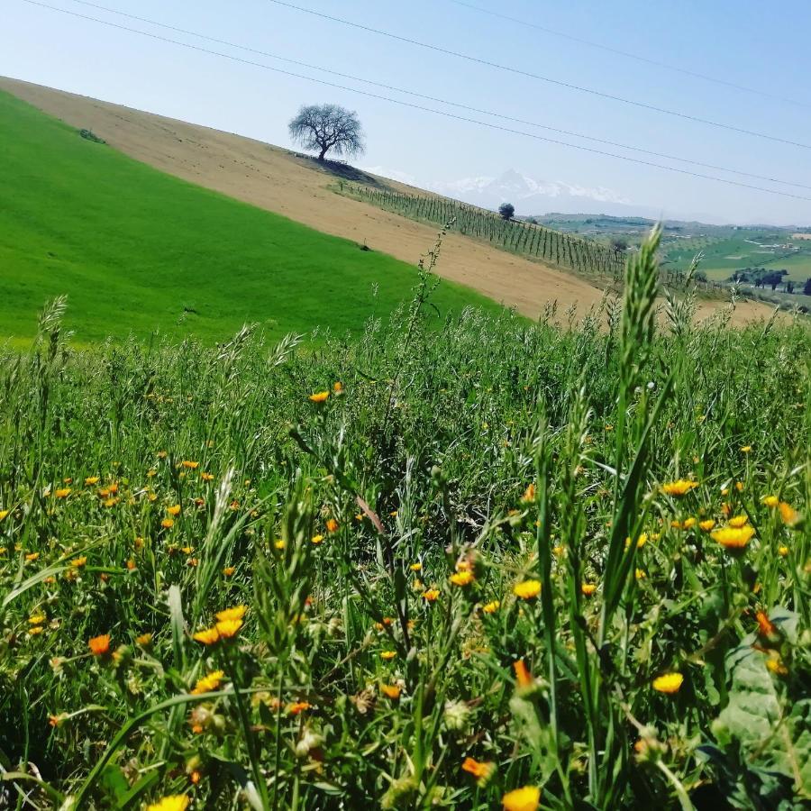 B&B Gli Amici Del Tubarello Roseto Degli Abruzzi Exterior foto