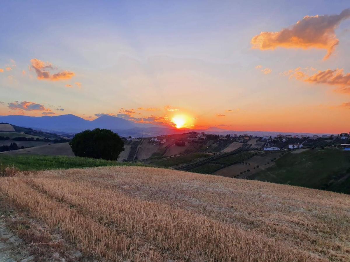 B&B Gli Amici Del Tubarello Roseto Degli Abruzzi Exterior foto