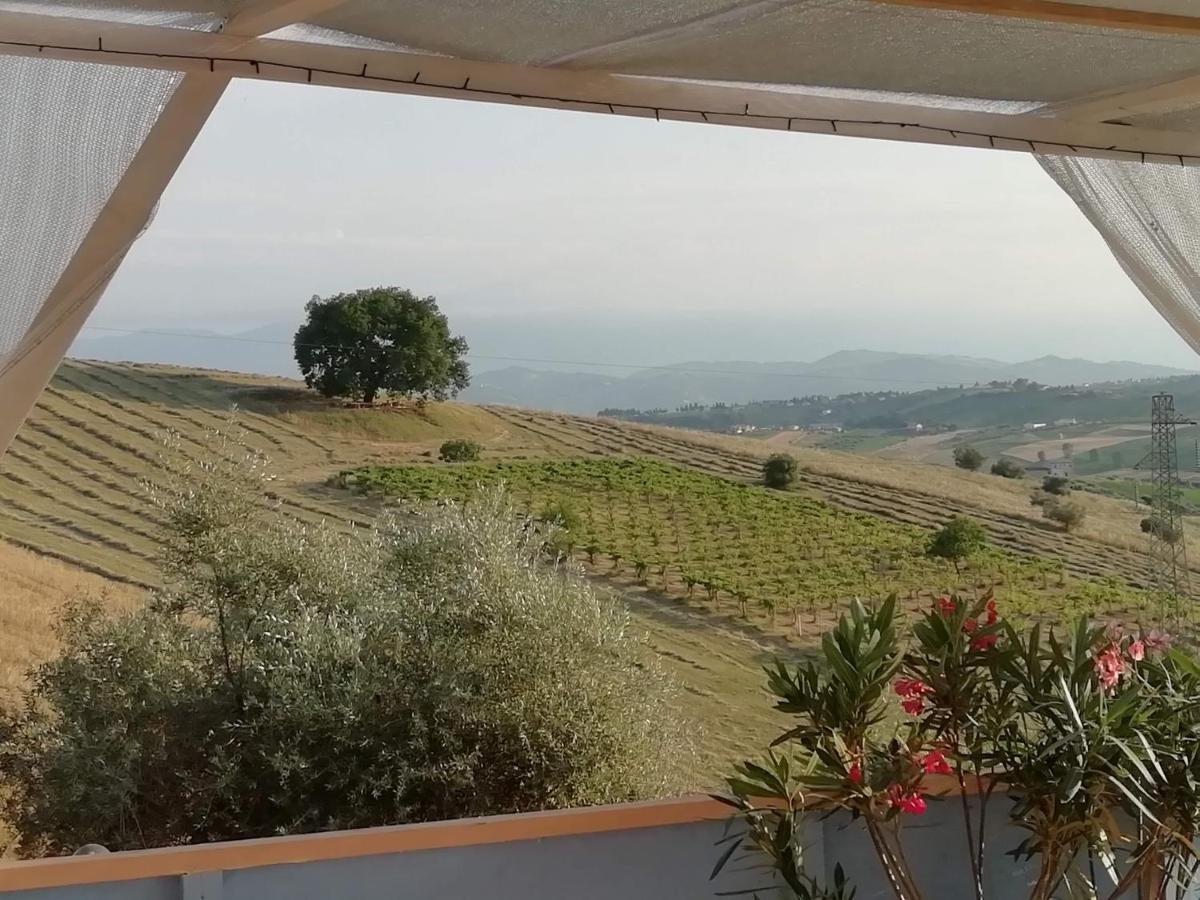 B&B Gli Amici Del Tubarello Roseto Degli Abruzzi Exterior foto