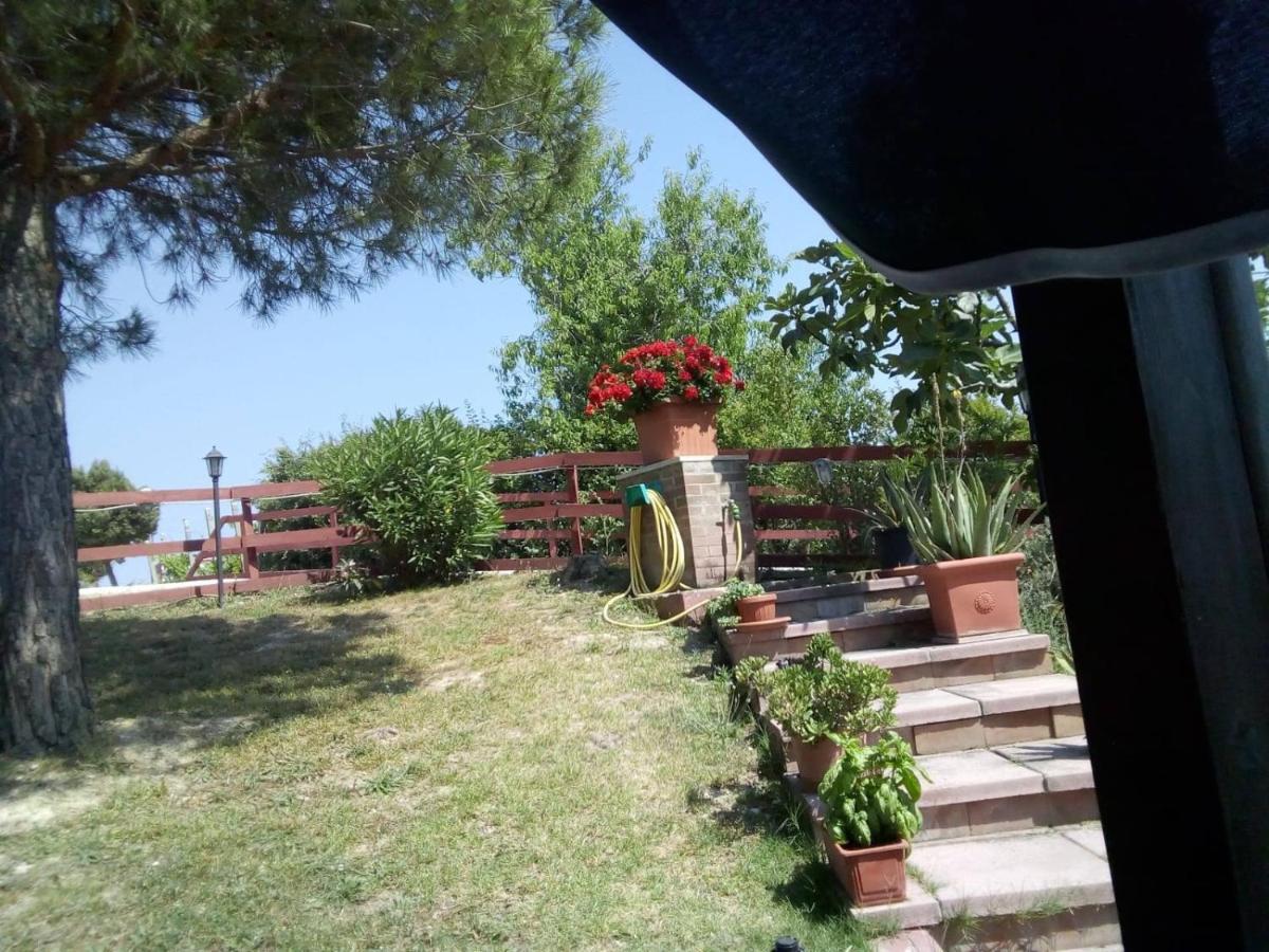 B&B Gli Amici Del Tubarello Roseto Degli Abruzzi Exterior foto