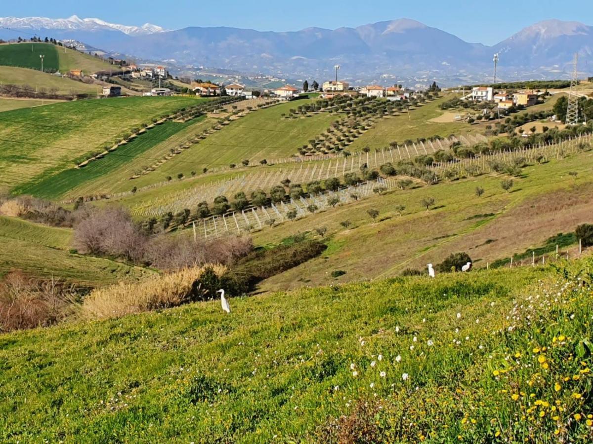 B&B Gli Amici Del Tubarello Roseto Degli Abruzzi Exterior foto