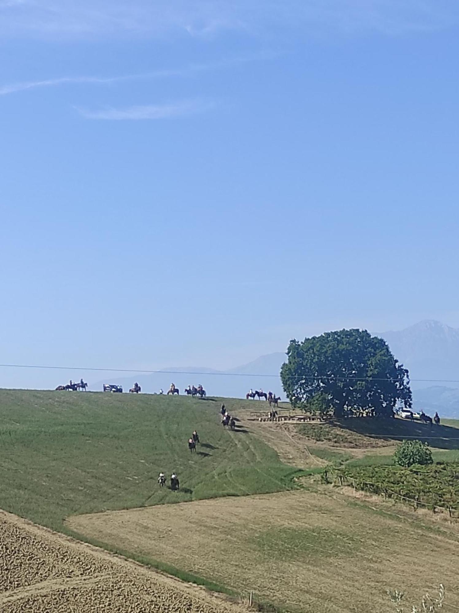 B&B Gli Amici Del Tubarello Roseto Degli Abruzzi Exterior foto